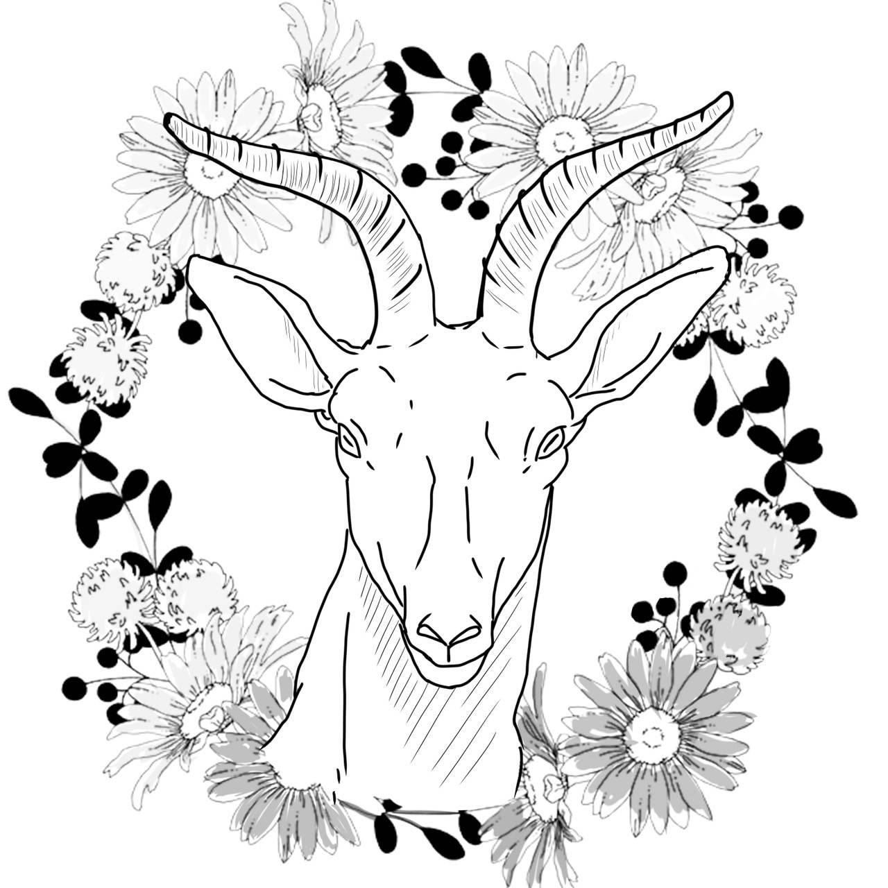 basic image