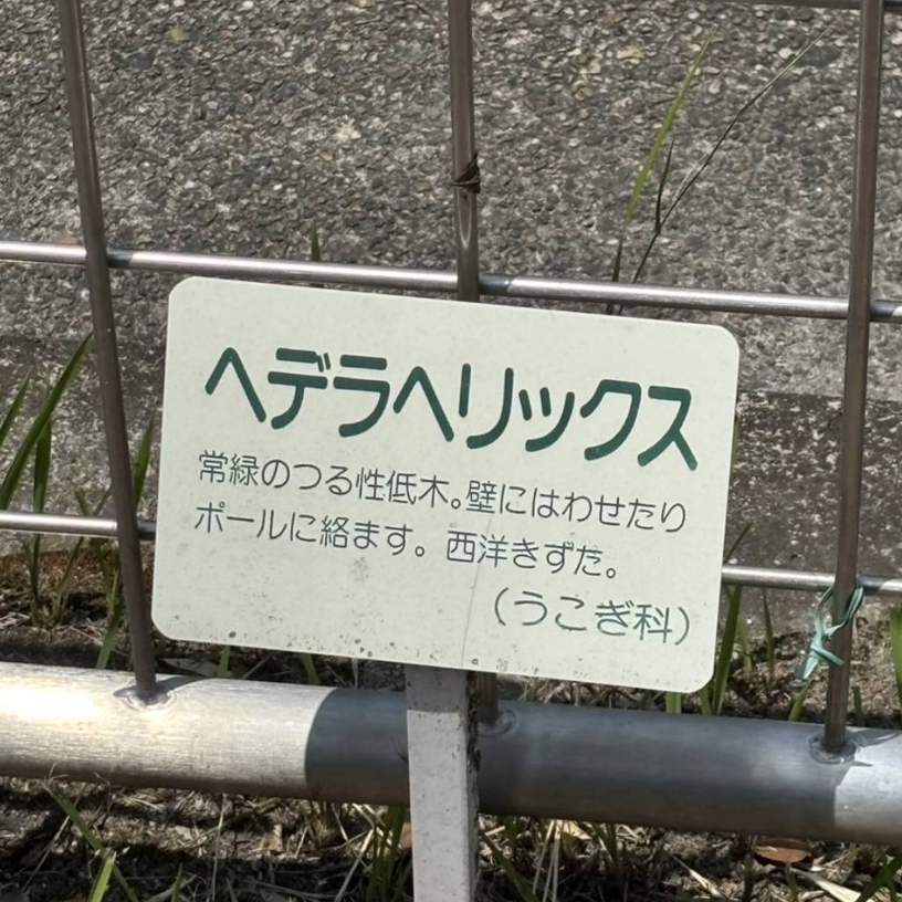 basic image